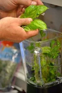 Gordon making herbed pesto_small