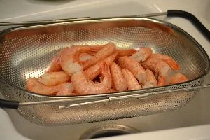 Shrimp 1_small