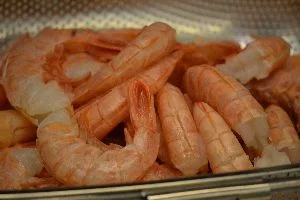 Shrimp 2_small