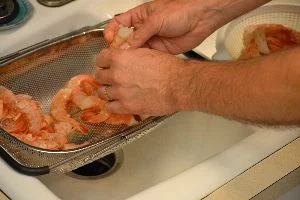 Shrimp 3_small