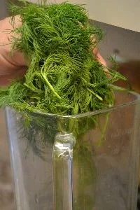 dill in the blender_small