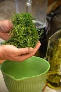 dill_small