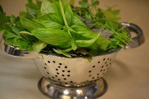herbs for the pesto_small