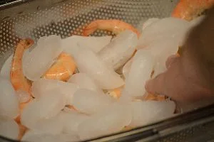 ice on top of them_small