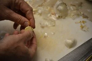 shrimp 5 garlic_small