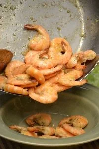 shrimp from Argentina_small