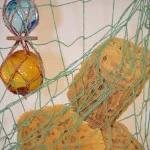 sponges and floats